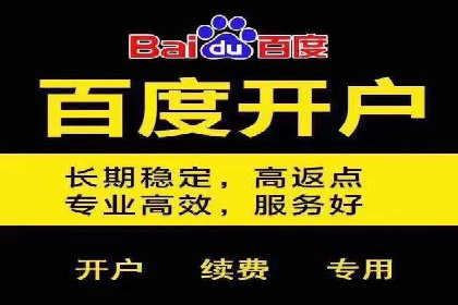 精选百度推广代理成功案例分享